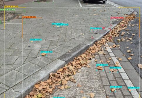 Uitdagingen AI-inspectie met bladvalperiode