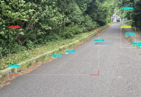 Onkruidgroei langs randen