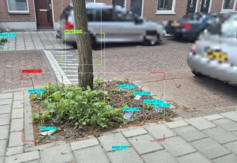 Boomspiegels en netheid van straatgroen