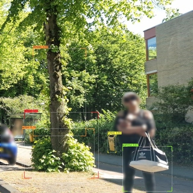 Wortelopslag rond boomspiegel