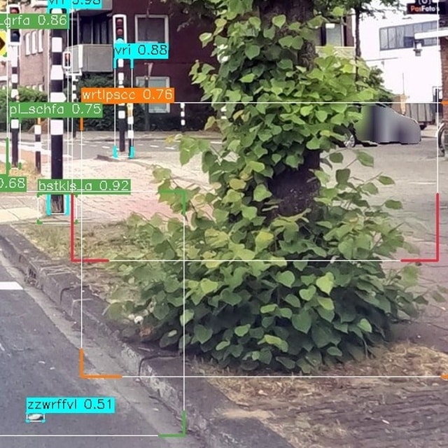 Wortelopslag rond boomspiegel