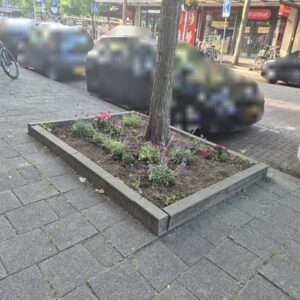 Boomspiegel, niveau B