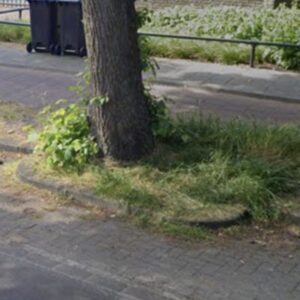 Boomspiegel, niveau D