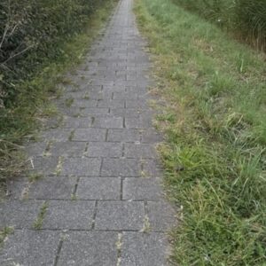 Grasovergroei langs rand, niveau D