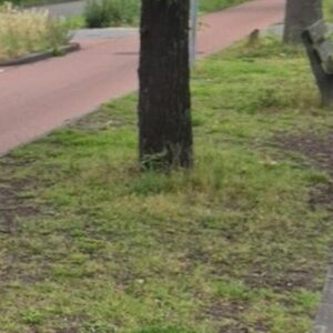Grashoogte rond obstakels, niveau B