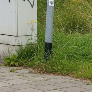 Grashoogte rond obstakels, niveau C