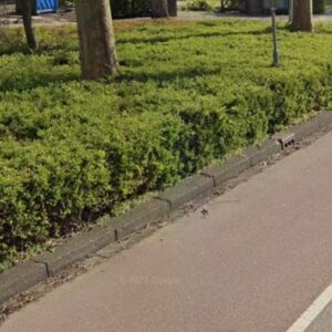 Heesters over de rand, niveau A