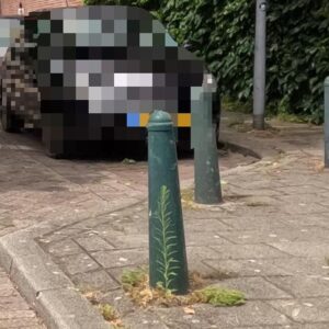 Scheefstand paal, niveau B