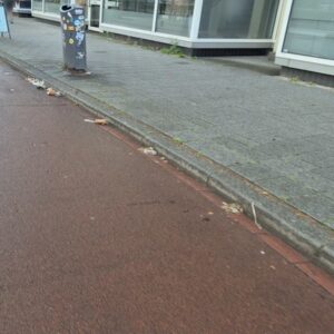 Vervuiling langs verhardingsranden, niveau A