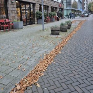 Vervuiling langs verhardingsranden, niveau C