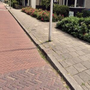 Onkruid langs randen, niveau A