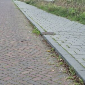 Onkruid langs randen, niveau B