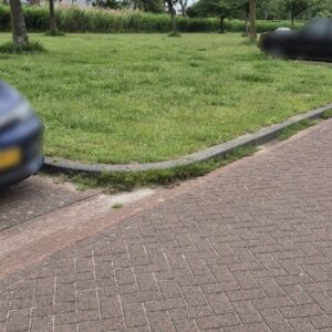 Onkruid langs randen, niveau C