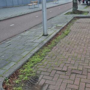 Onkruid langs randen, niveau D