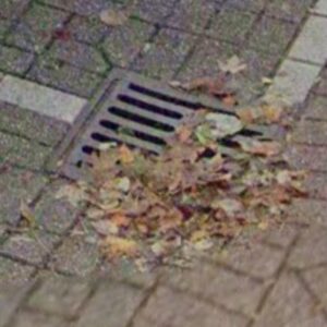 Straatkolk, niveau D