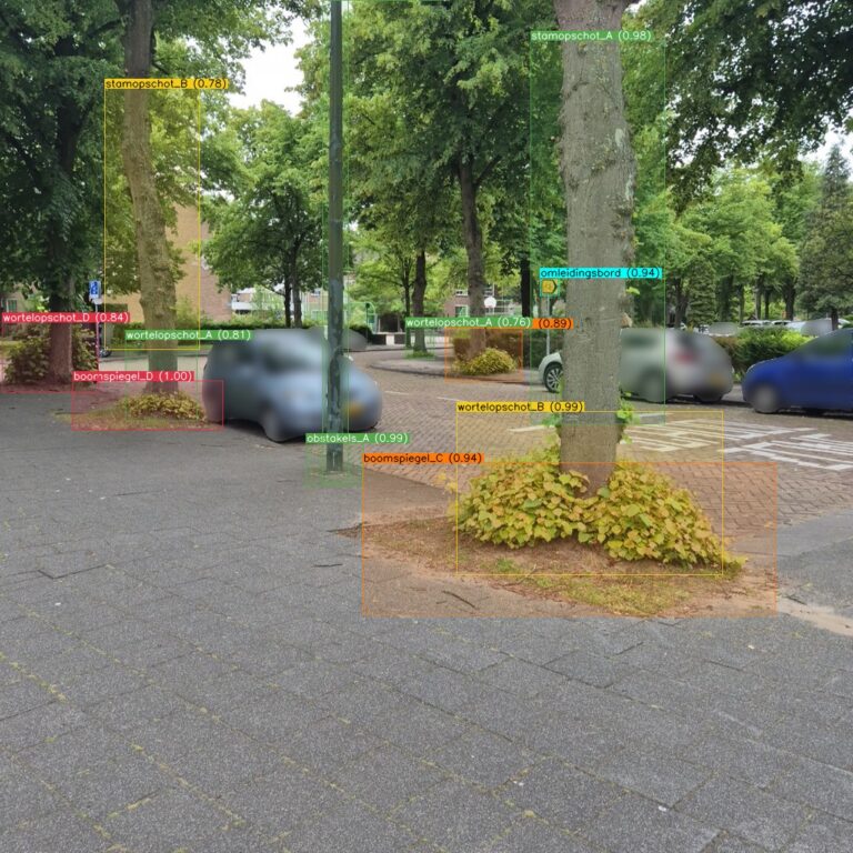 Wortelopslag rond boomspiegel